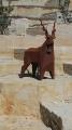 Sculpture Markhor