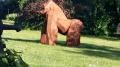 Sculpture Gorille