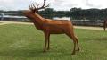 Sculpture Cerf en métal