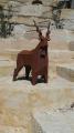 Markhor